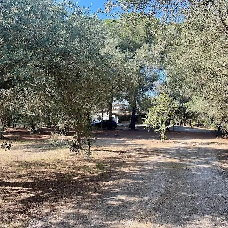 Amedeo Villa
