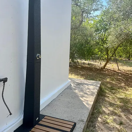 Amedeo Donigala Fenughedu