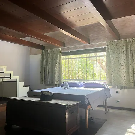 Amedeo Donigala Fenughedu