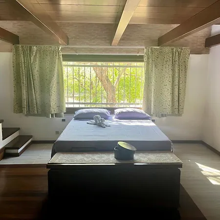 Amedeo * Donigala Fenughedu